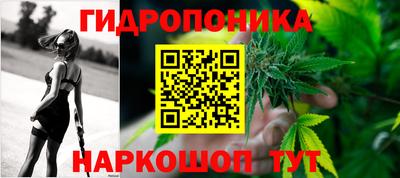 каннабис Новозыбков