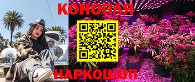 каннабис Новозыбков