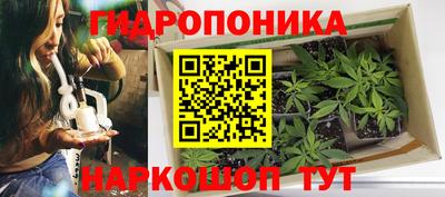 каннабис Новозыбков