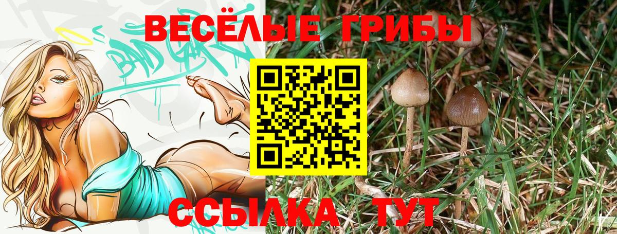 Алушта  Галлюциногенные грибы MAGIC MUSHROOMS  Вход с VPN 