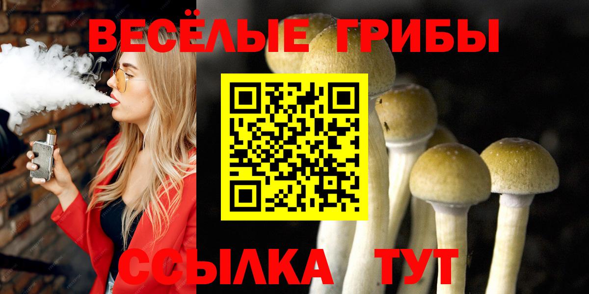 Псилоцибиновые грибы Cubensis Алушта